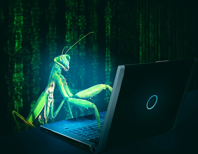 software bug