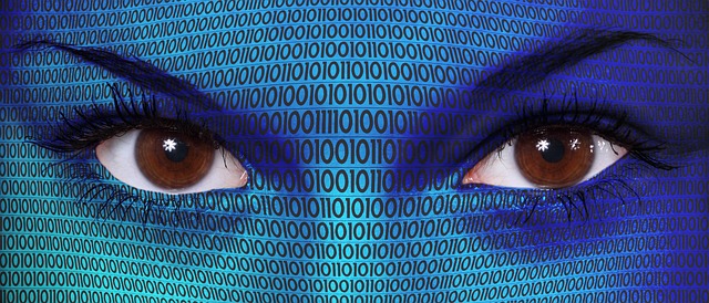 Hình ảnh minh họa ý nghĩa của từ software virtualization