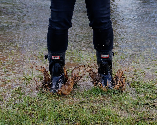 soggy chicken