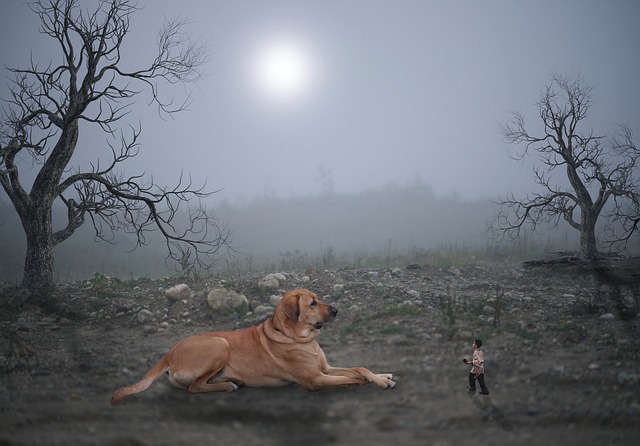 Hình ảnh minh họa ý nghĩa của từ soil