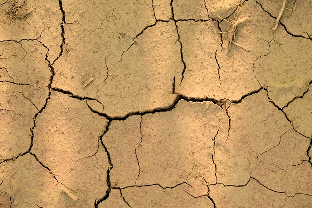 soil dryness