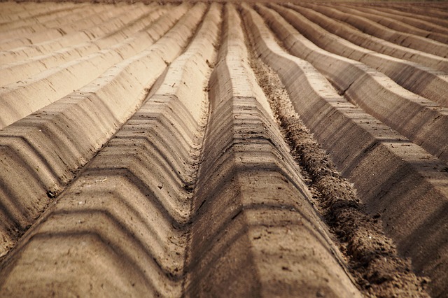 Hình ảnh minh họa ý nghĩa của từ soil fertility