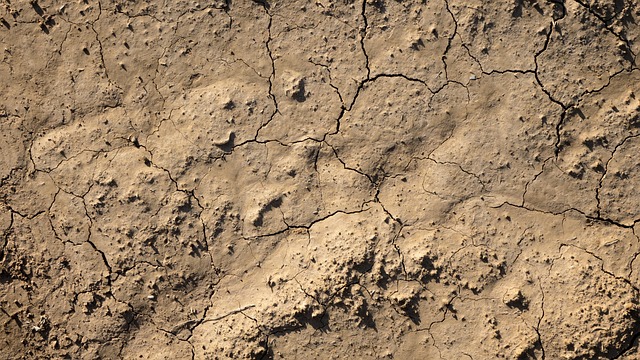 soil layer