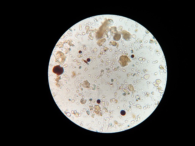 soil science