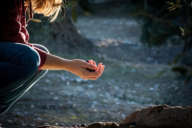 Hình ảnh minh họa ý nghĩa của từ solely