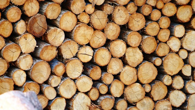 solid fuel