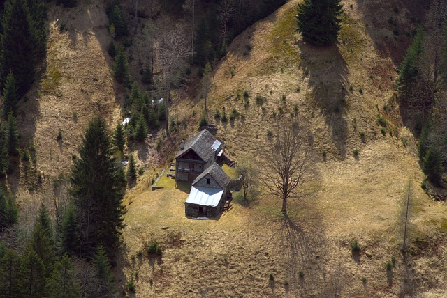 Hình ảnh minh họa ý nghĩa của từ solitarily