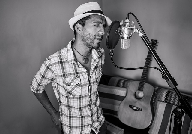 Hình ảnh minh họa ý nghĩa của từ soloist