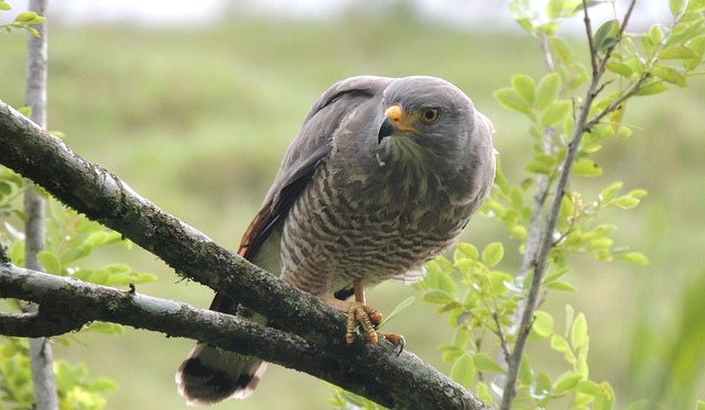 Hình ảnh minh họa ý nghĩa của từ sometime