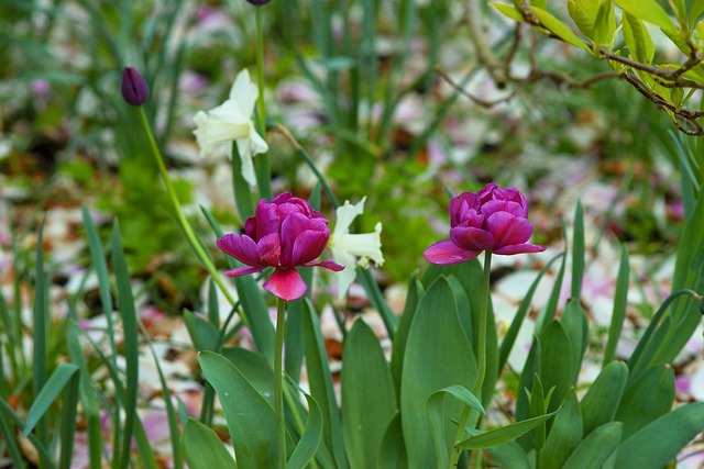 Hình ảnh minh họa ý nghĩa của từ sore eyes