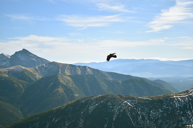 Hình ảnh minh họa ý nghĩa của từ soul travel