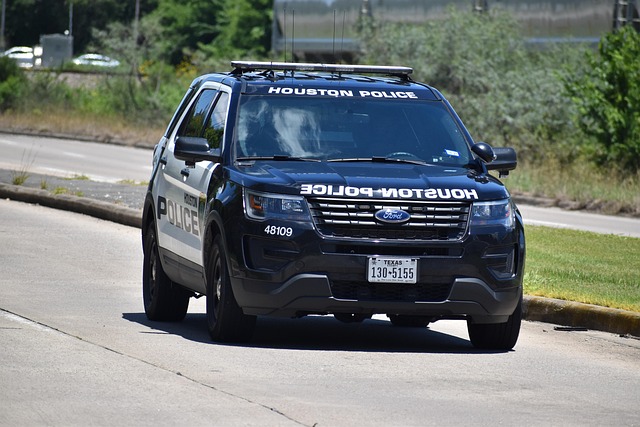 Hình ảnh minh họa ý nghĩa của từ specialized job