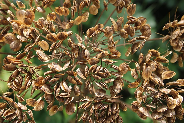 Hình ảnh minh họa ý nghĩa của từ spent