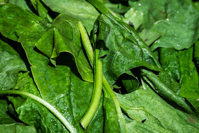 Hình ảnh minh họa ý nghĩa của từ spinach