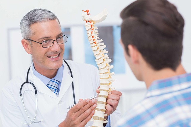 Hình ảnh minh họa ý nghĩa của từ spinal cord