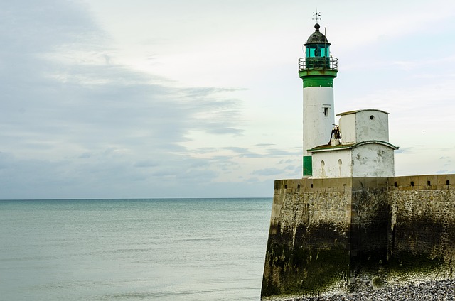 Hình ảnh minh họa ý nghĩa của từ spinelessness