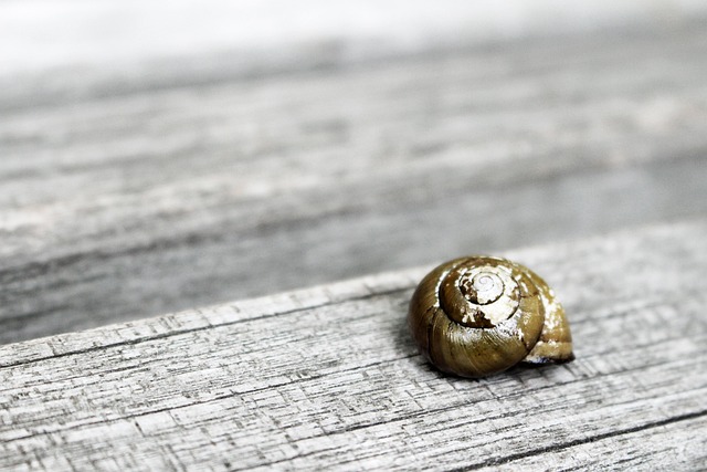 Hình ảnh minh họa ý nghĩa của từ spiraling