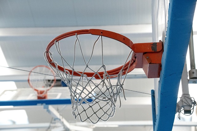sport of kings