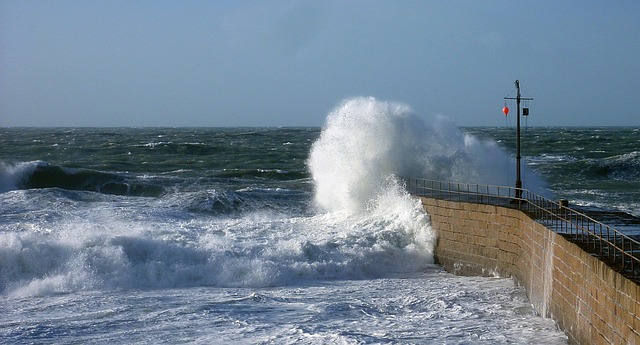 spray head