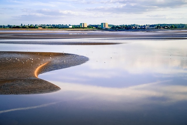 Hình ảnh minh họa ý nghĩa của từ spring tide