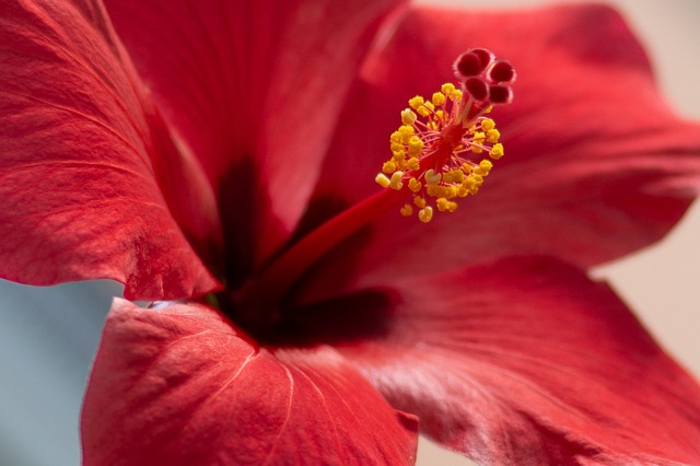 spring to life