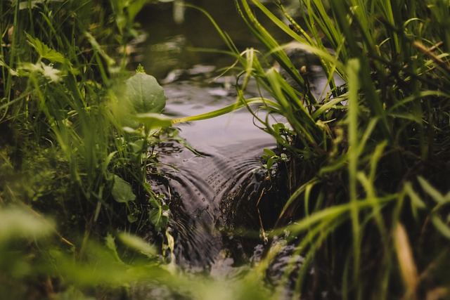 spring water