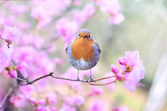 springtime