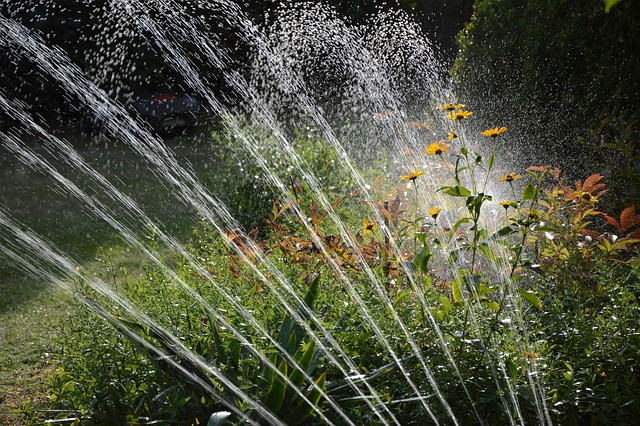 Hình ảnh minh họa ý nghĩa của từ sprinkler irrigation