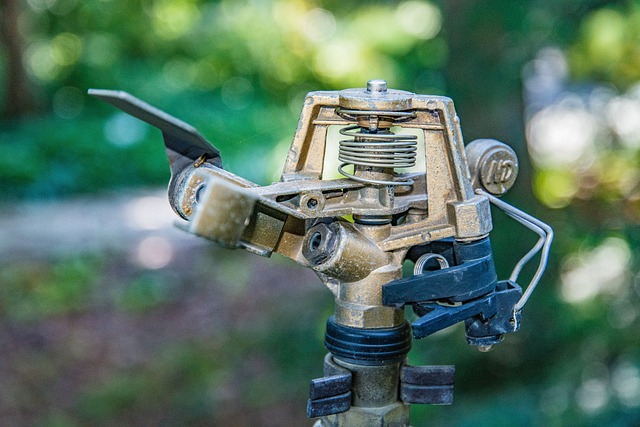 Hình ảnh minh họa ý nghĩa của từ sprinkler system