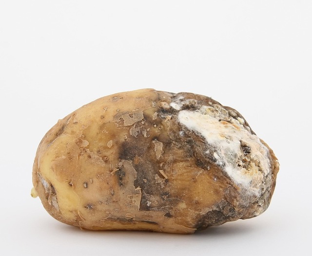 spud