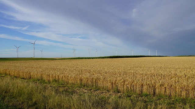 Hình ảnh minh họa ý nghĩa của từ squall