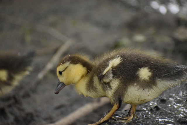 Hình ảnh minh họa ý nghĩa của từ squally