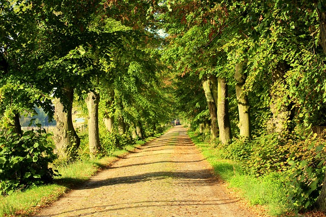 Hình ảnh minh họa ý nghĩa của từ staging environment