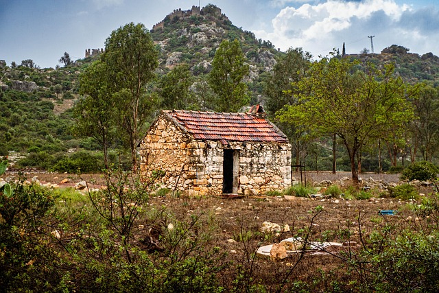 Hình ảnh minh họa ý nghĩa của từ stale