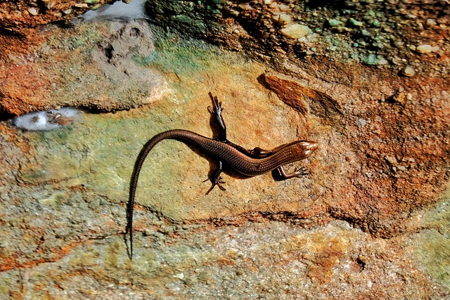 Hình ảnh minh họa ý nghĩa của từ stand still