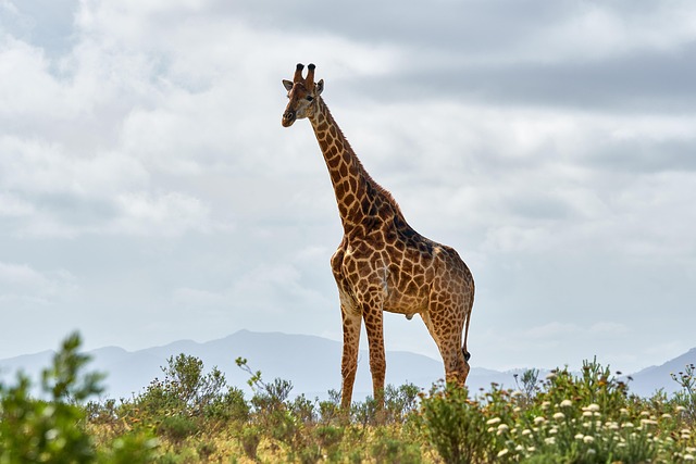 stand tall