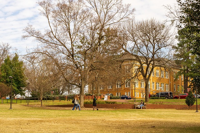 state school