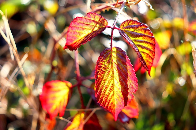 Hình ảnh minh họa ý nghĩa của từ statement of retained earnings