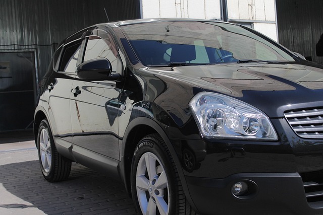 Hình ảnh minh họa ý nghĩa của từ statolith