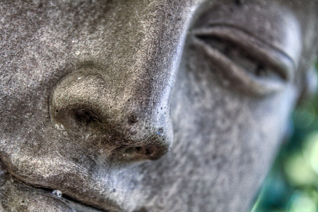 Hình ảnh minh họa ý nghĩa của từ status report