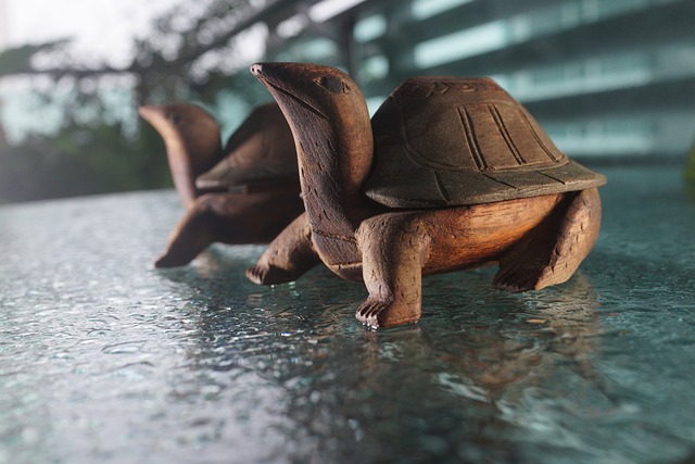 Hình ảnh minh họa ý nghĩa của từ steady element