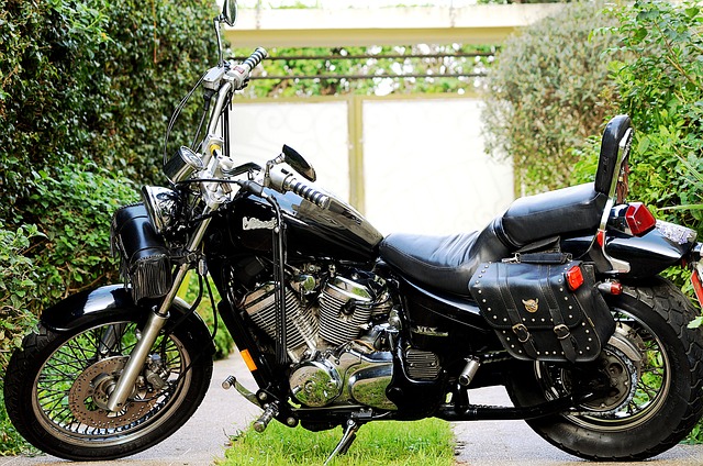 steed
