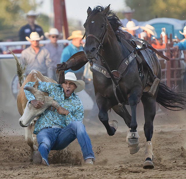 Hình ảnh minh họa ý nghĩa của từ steer wrestling
