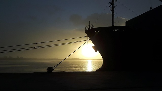 Hình ảnh minh họa ý nghĩa của từ stevedore