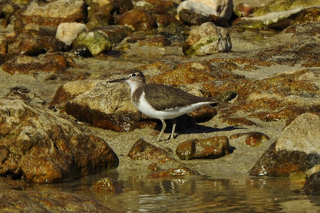 Hình ảnh minh họa ý nghĩa của từ stint