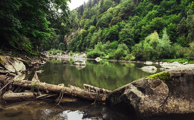 Hình ảnh minh họa ý nghĩa của từ stream ecology