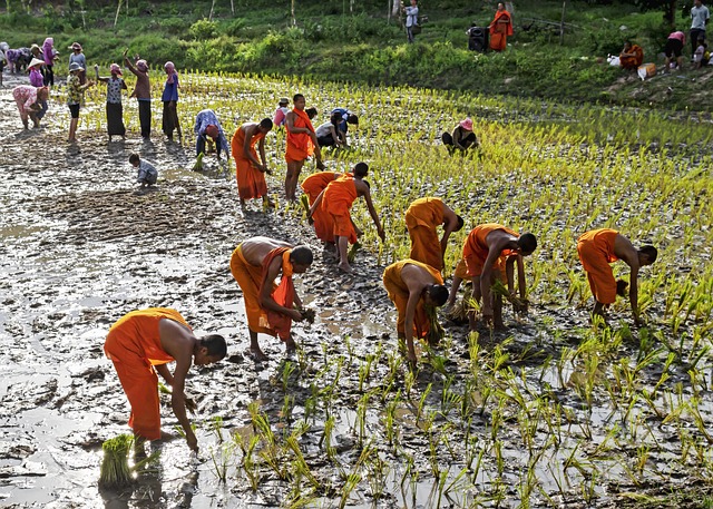 Hình ảnh minh họa ý nghĩa của từ strenuous
