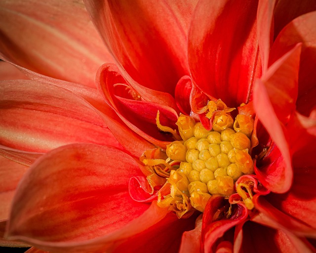 Hình ảnh minh họa ý nghĩa của từ strident