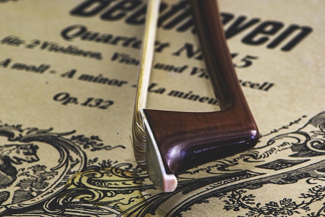 Hình ảnh minh họa ý nghĩa của từ string quartet