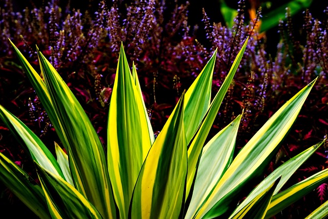 strip of leaves